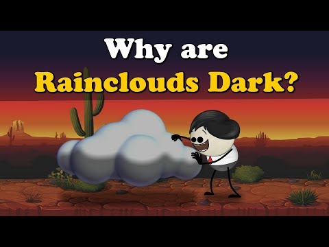 Why are Rainclouds Dark? + more videos | #aumsum #kids #science #education #children