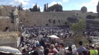Birchas kohanim at the kosel 2013