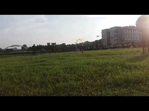 Dog Squad Training In My Camp CATC VI AT SIJOUL(1)