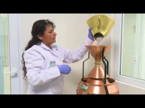 Conoce el nuevo Laboratorio Nacional de Investigación de Semillas