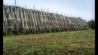 Kampot pepper - Cambodia