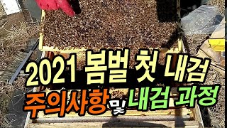 2021 봄벌 첫 내검(봄벌깨우기) 할 때 주의사항 및 내검과정 소개