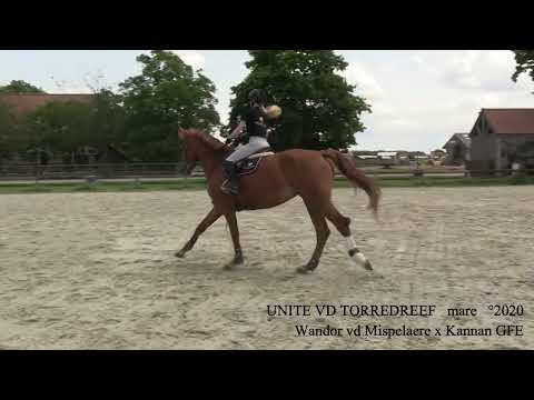 Unite Van de Torredreef