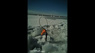 Отчет о рыбалке на яузском водохранилище апрель 2020
