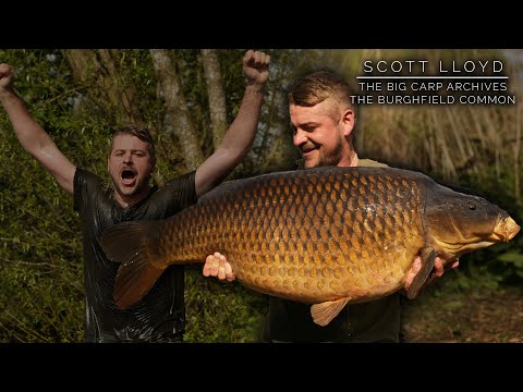 Scott Lloyd - The Burghfield Common