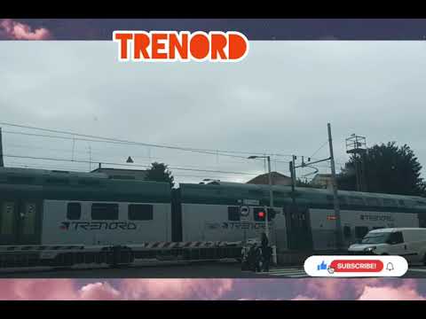 TRENORD TRAIN 🚃