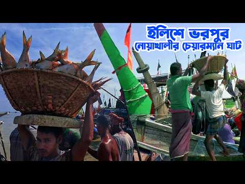 শত শত মণ ইলিশের প্রাণকেন্দ্র নোয়াখালীর হাতিয়ার চেয়ারম্যান ঘাট || Panorama Documentary