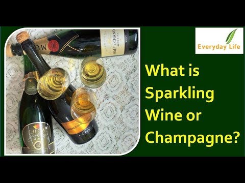 download lagu mp3 mp4 Prosecco Price India, download lagu Prosecco Price India gratis, unduh video klip Prosecco Price India