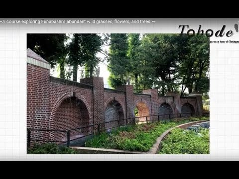 Tohode～A course exploring Funabashi's abundant wild grasses, flowers, and trees.～