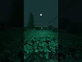 GM Relaxation Music Shorts Status Nature