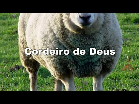 05 - Cordeiro de Deus - Cd Jovem 1998
