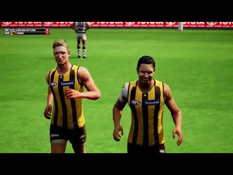 Grand Final, 2008 - Geelong V Hawthorn