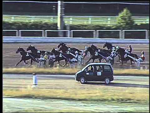 Trotto 11/06/2015 - 8° corsa -TRIS-