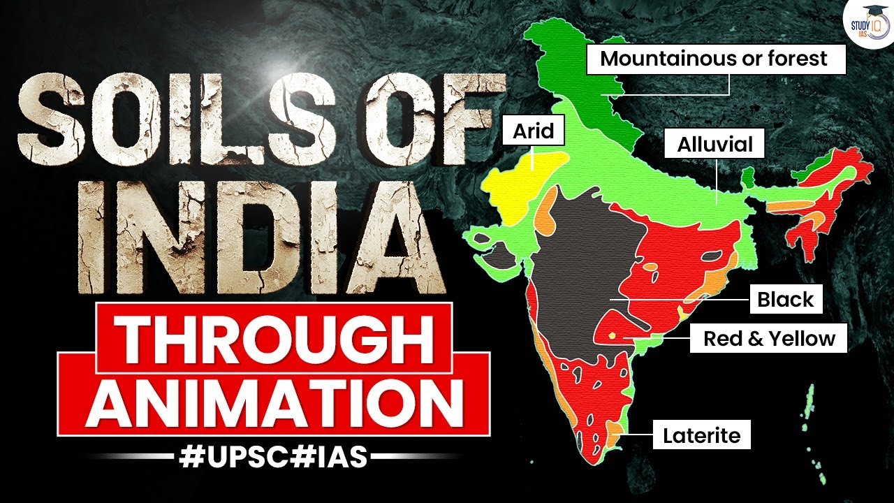 Soil & Its Types | Soil of India Through Animation | Indian Geography Soil in Hindi | UPSC | StudyIQ