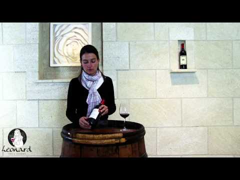 Dégustation du Château Vieille Tour la Rose du vignoble Daniel YBERT