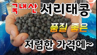품질 최고, 국내산  서리태콩  저렴한  가격에 ~  010-3336-5088