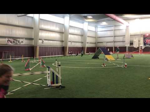 Insane Enda STD NQ 7/30/17