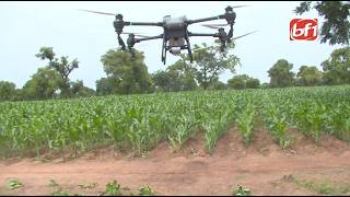 Drones agricoles : une nouvelle technologie au service de la productivité des champs burkinabè
