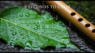 Download lagu Musik Santai 'Tetesan Hujan di Daun — Instrumental Suling Bambu mp3