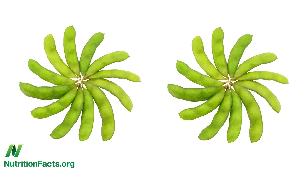 BRCA Breast Cancer Genes and Soy