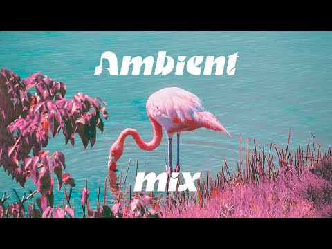 Inspirational Music For Creativity and Studying — Stunning Flamingos