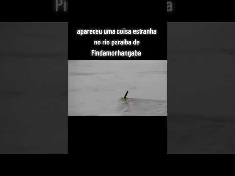 Alguém pode explicar #pindamonhangaba #saopaulo #shorts #taubate