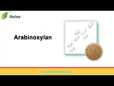 What is Arabinoxylan? Arabinoxylan Purchase, Function, Price