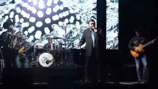 Los Palominos -Freddie Martinez