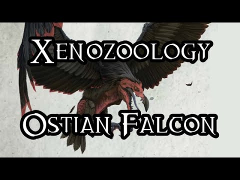 Xenozoology: Ostian Falcon (Ft. Tats TopVideos) - 40K Theories