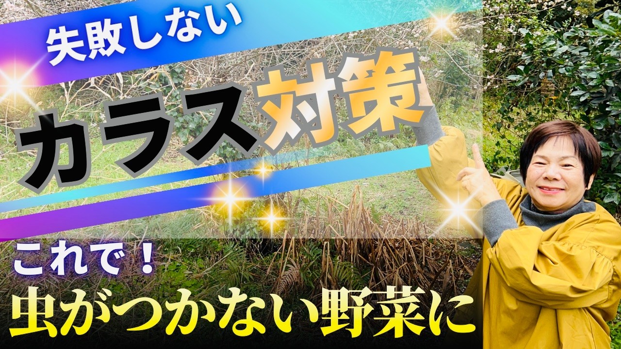 そんな方法！？「新！カラス対策」をお送りします