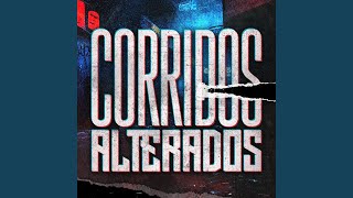 De Sinaloa Para El Mundo