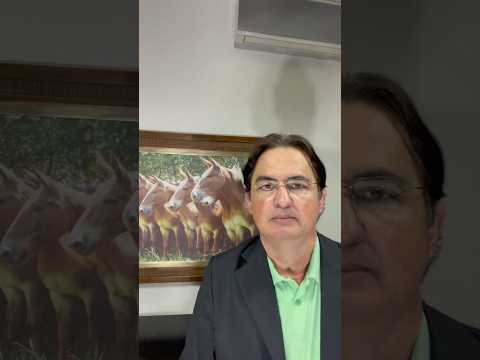VOCÊ SABE O QUE DIFERENCIA UMA FAZENDA COMUM DE UMA OPERAÇÃO PECUÁRIA DE ALTO NÍVEL?
