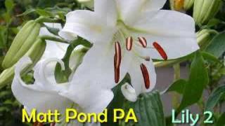 Matt Pond PA