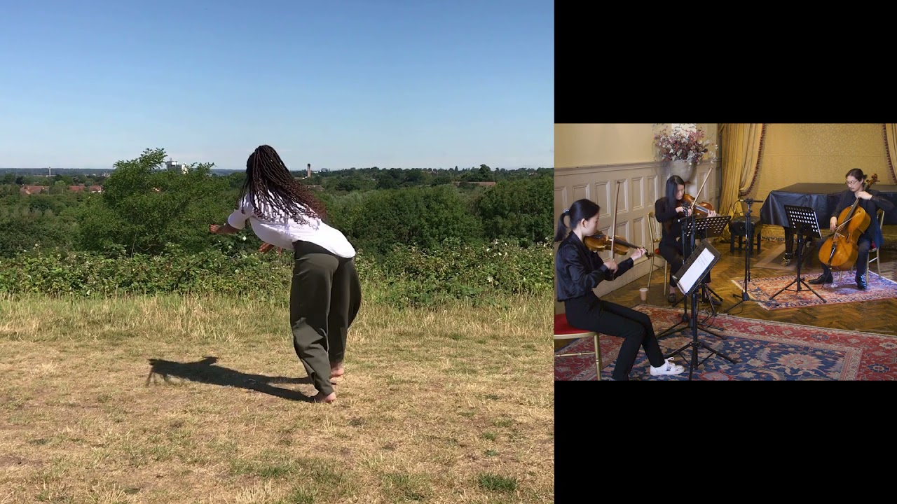 Video Image