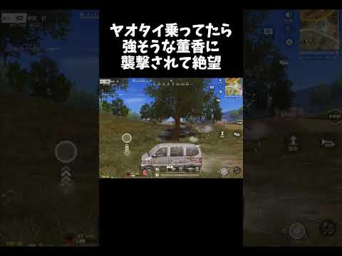 ヤオタイ乗ってたら強そうな董香ちゃんに襲撃されて絶望ｗｗ【#荒野行動】# Knives Out   #荒野アプデ #荒野新生活応援 #荒野東京喰種コラボ