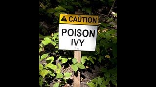 Poison Ivy Documentary