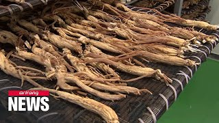 Red ginseng oil found to alleviate prostatic hyperplasia