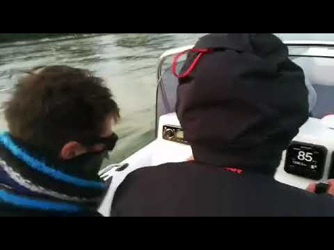 Brig Navigator 610 with Suzuki df150ap