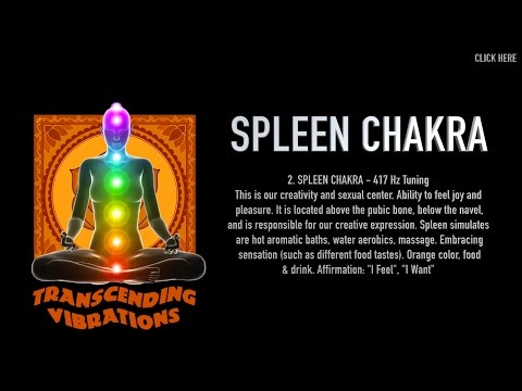 download lagu mp3 mp4 Spleen Chakra, download lagu Spleen Chakra gratis, unduh video klip Spleen Chakra