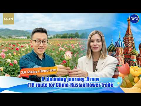 Faster logistics are bringing Yunnan flowers to Russia