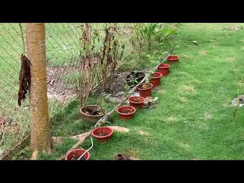 Programmable Irrigation Switch