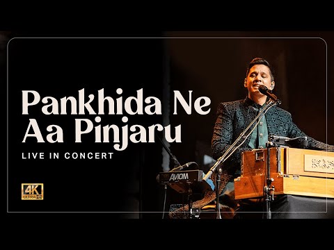 Pankhida Ne Aa Pinjaru - Bhavik Haria — LIVE at Yaadein, London