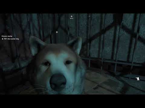 Far Cry:  New Dawn - Rescue Timber the Dog 4K Gameplay