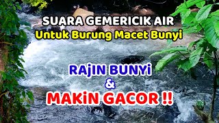 Download lagu Suara Gemericik Air Untuk Semua Burung Macet Bunyi | Suara Air Terapi Burung mp3