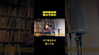 #おすすめ #おすすめ楽曲 #好きな曲 #うたってみた #きのこ帝国 #金木犀の夜