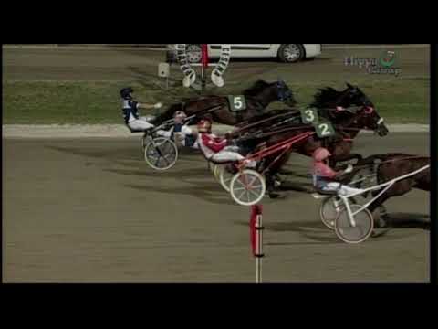 IPPICA: Brutto incidente all'ippodromo del Savio, Zeus Indal si accascia sul traguardo