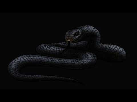 Luciano x Kalash Criminel Type Beat | Mamba | Dark Trap | Psychasian Beats (READ DESCRIPTION)