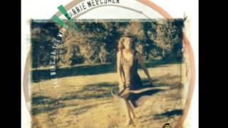 LOOKING FOR SOMETHING - CARRIE NEWCOMER