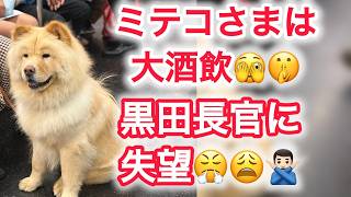 ミテコさまは大酒飲 黒田長官に失望