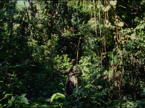 anaiis - Deus Deus (Official Video)